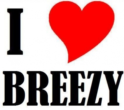 Mes chansons pr�f�r�s - photo 2