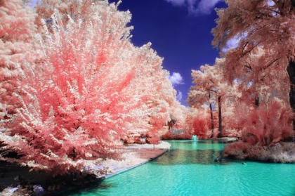 Ma soeur et moi - photo 2