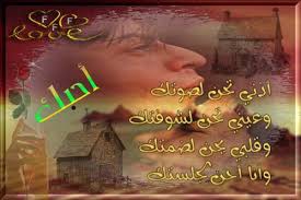 حبيبي  انت نور  عيني - photo 3