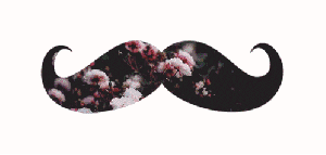 je quitte le site :(