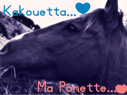 Mooontaaaaaaaageeee !!