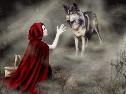 le petit chaperon rouge   et ..............le loup