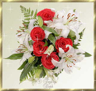 bienvenu sur mon blog  - photo 2