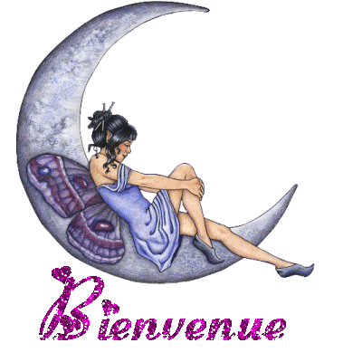 bienvenu sur mon blog les filles  - photo 2