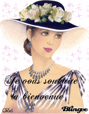 bienvenu sur mon blog les filles 