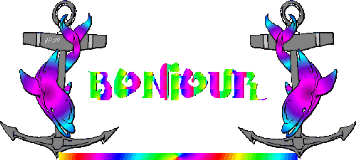 BIENVENUE DANS MON OCEAN DE DAUPHINS - photo 2