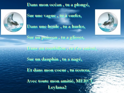 BIENVENUE DANS MON OCEAN DE DAUPHINS