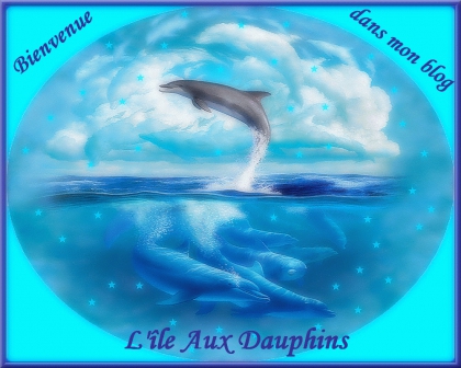 j'aime les daulphins - photo 2