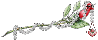 ����ooooo hello ! how are you ? - photo 2