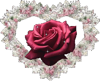 merci de vos visite  - photo 2