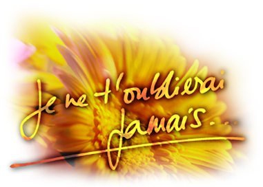 Kon-nichiwa mina-san !