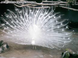 ma soeur la bellle  - photo 2