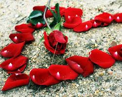 l'amour est difficile un peu  - photo 3