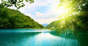 la nature que j'aime  - photo 2