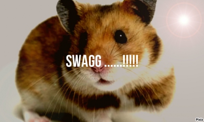 Sw@GG...  ;D Style''