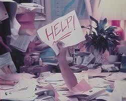 Une conne dans les parages !!!! ( pas sur le site ) - photo 2