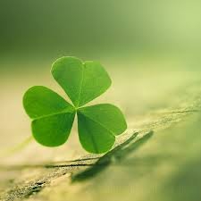 Je n'ai pas cette chance ...