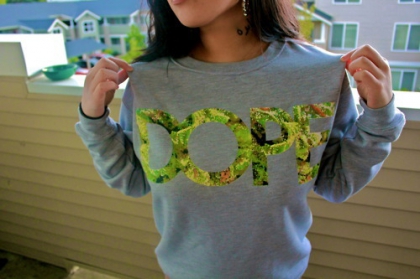 1er article - photo 3