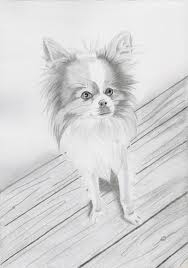 Pour le concour de Joannah34