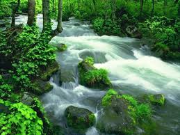 J�aime la nature - photo 3