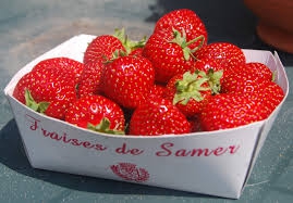 le fraise est mon fruit pr�ferer 