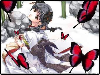 les papillons  - photo 2