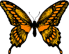 les papillons 