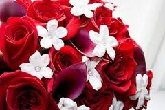 les fleurs - photo 2