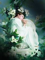 le jasmin  - photo 2