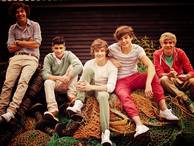 One Direction - photo 3