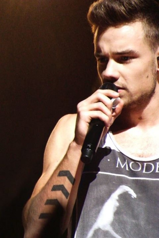 JOYEUX ANNIVAIRSAIRE LIAM PAYNE 1D