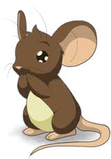 Transformice ! - photo 2