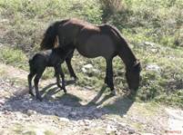 ah quel bel evenement !!