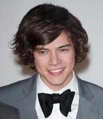 TOUT SUR HARRY STYLE