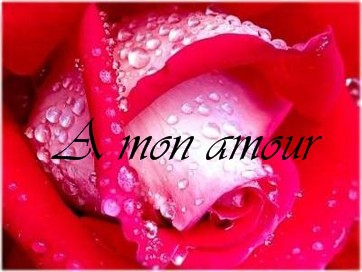 citation d'amour - photo 3