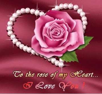 la fleure que mom ami ma offere  - photo 3