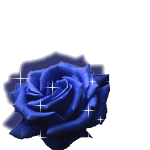 la fleure que mom ami ma offere 