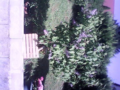 mes vacances dans le jura