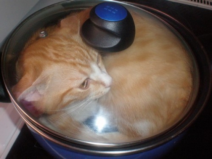 moi sabrina - photo 2