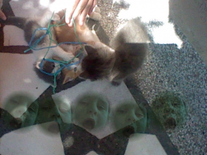 Moi et mes chats en Macdoine:p