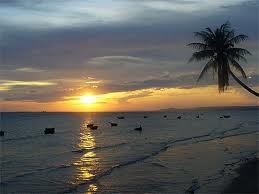 Pour le concours de koukou damourtal - photo 3