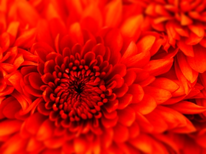 quesque jaime - photo 3