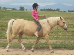 mes sports prfrs - photo 2