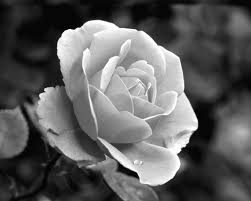 BLACK AND WHITE - photo 2