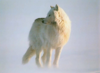 et photo!! - photo 3