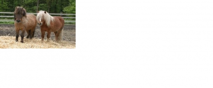 L'equitation !  - photo 3