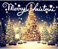 une f�te a ne pas manquer toOut les ann�es  - photo 2