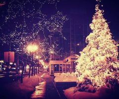 une f�te a ne pas manquer toOut les ann�es 