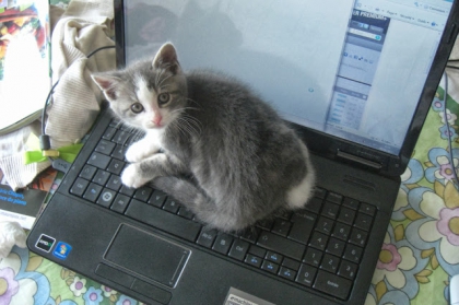 Ma pr�sentation ☺ - photo 3