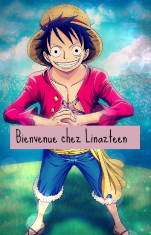 Bienvenue - Luffy